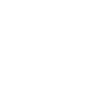 Intellekt BR